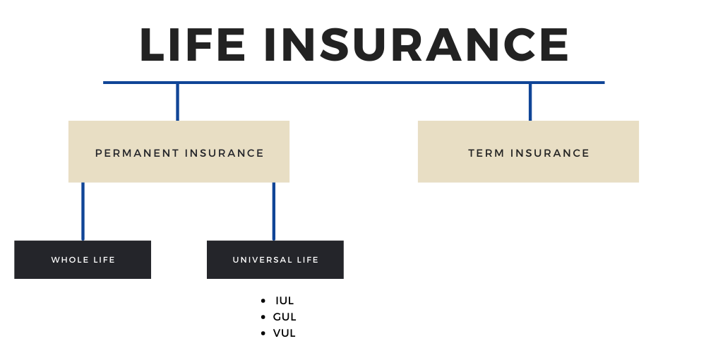Cash Value in Life Insurance